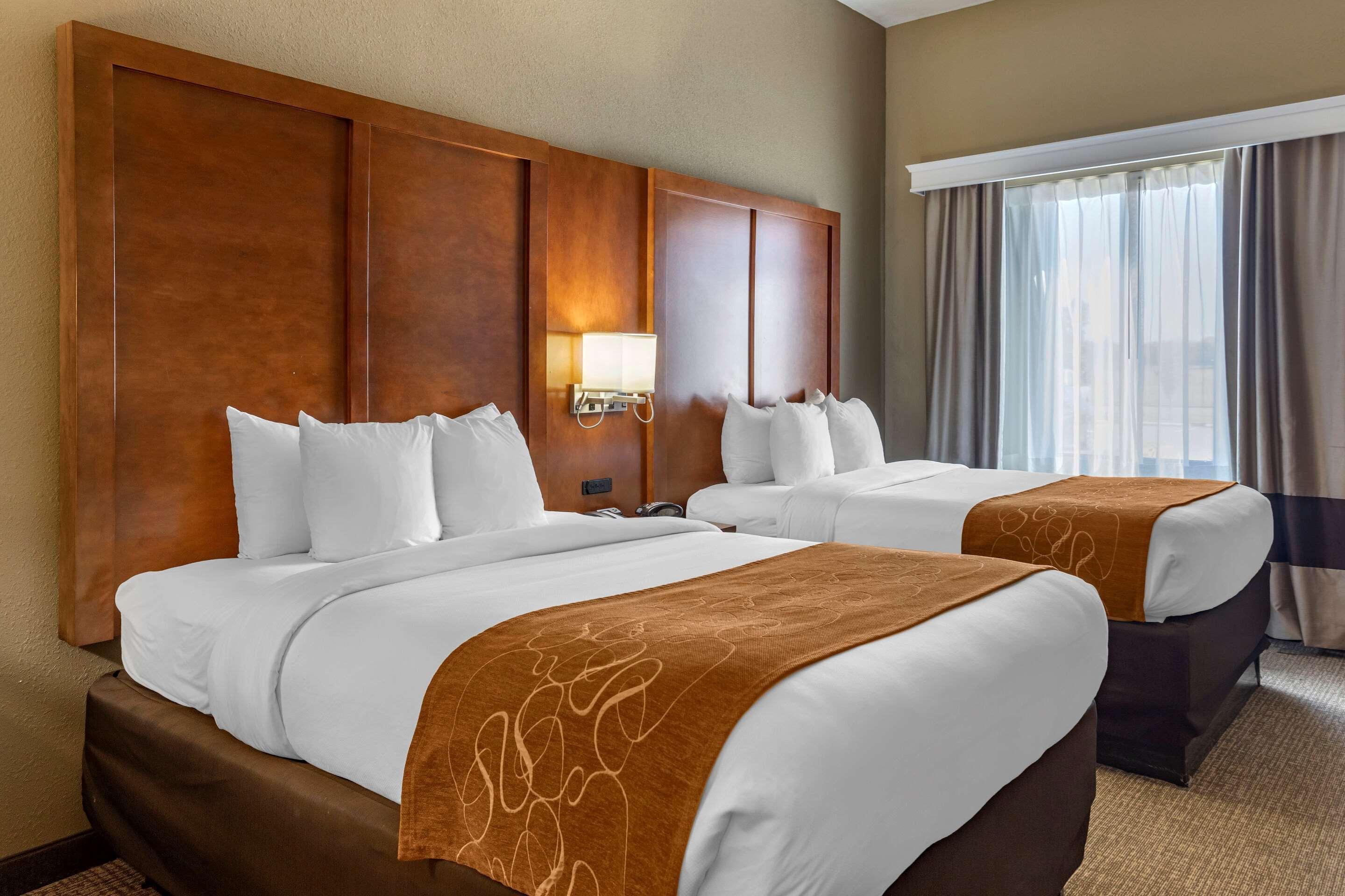 คอมฟอร์ท สวีทส์ Hotel เบทส์วิลล์ ภายนอก รูปภาพ